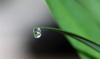 Wasser – unsere reichste Quelle