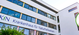 Webinar: Naturheilkundliche Präventionsmaßnahmen für den Alltag